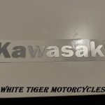 Kawasaki Nose Cone Decal